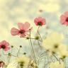 影视风云路